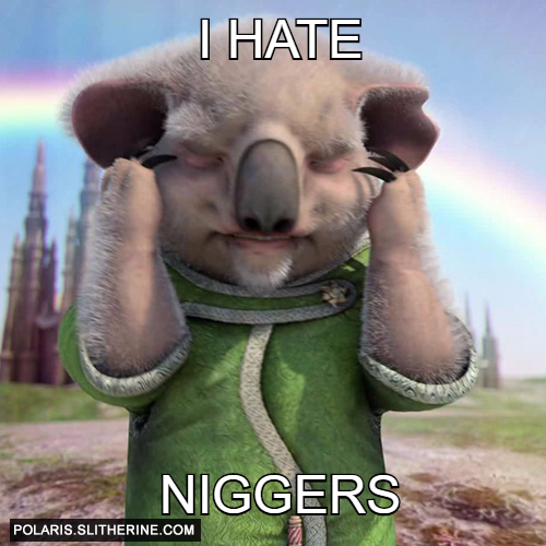 I Hate Niggers