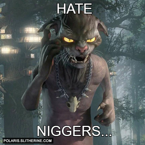 hate niggers...