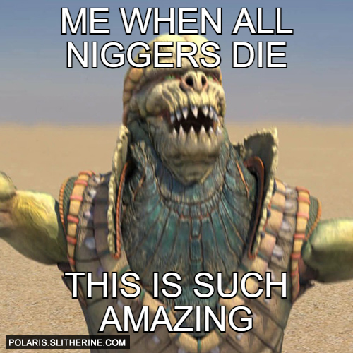 me when all niggers die this is such amazing