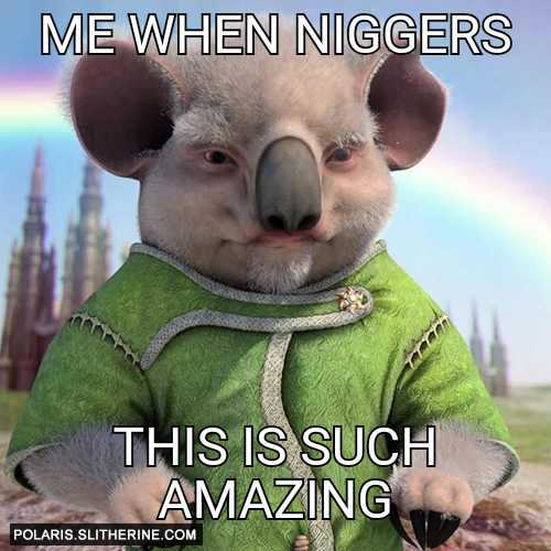 me when niggers  this is such amazing