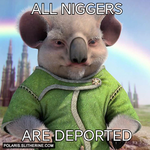 All NIGGERS ARE DEPORTED