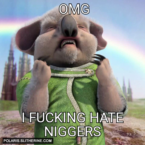 omg I fucking hate niggers