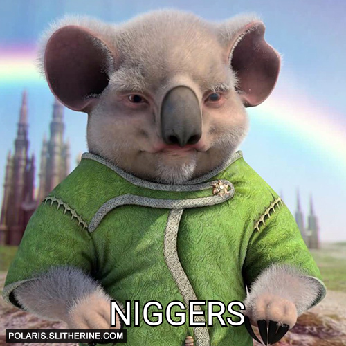 Niggers
