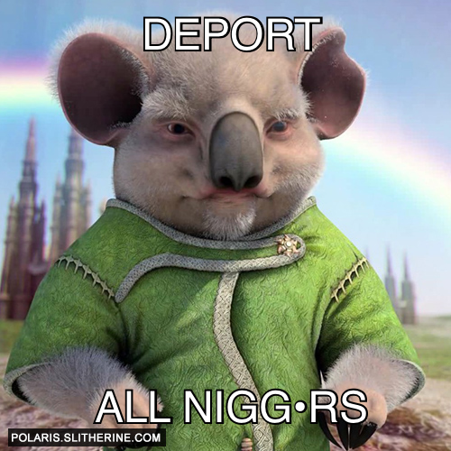Deport All nigg•rs